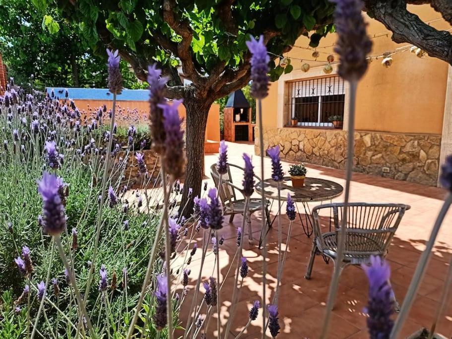 Villa Mas Del Vent- Barbacoa, Jardin, Piscina Privada Y Vistas A Mar à Cunit Extérieur photo